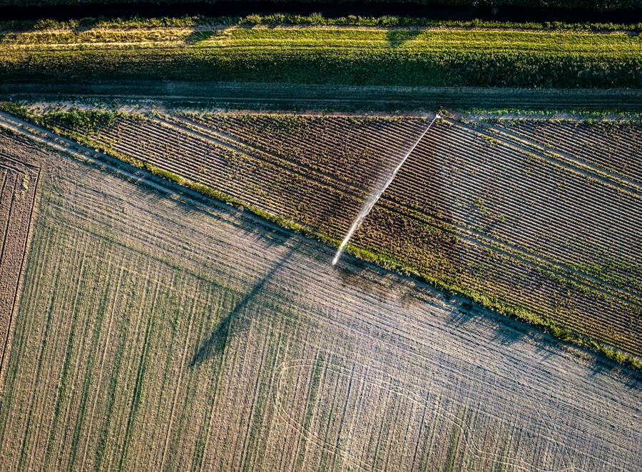 Irrigação em lavoura na região de Buritis